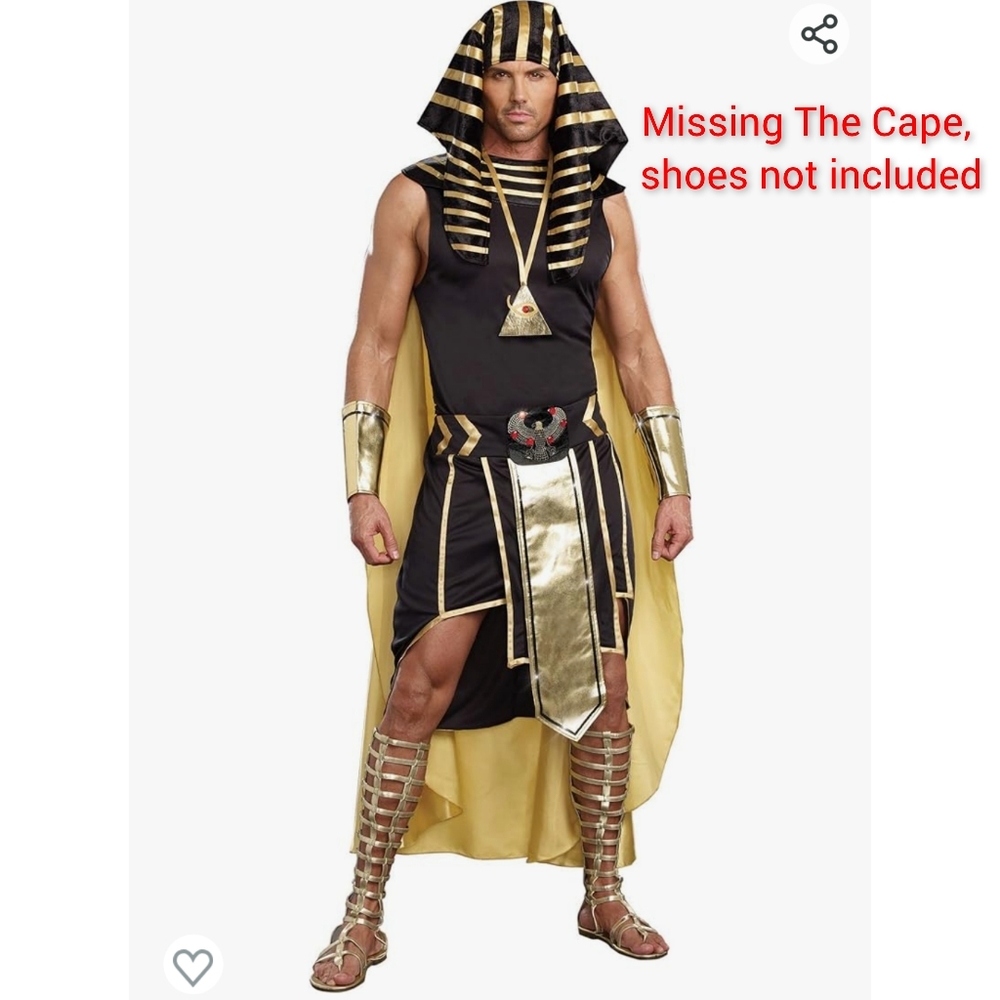 Dreamgirl Men's King of Egypt King TUT Costume